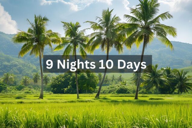 kerala holiday package for 10 days