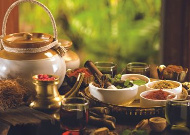 Kerala spa and wellness retreat
