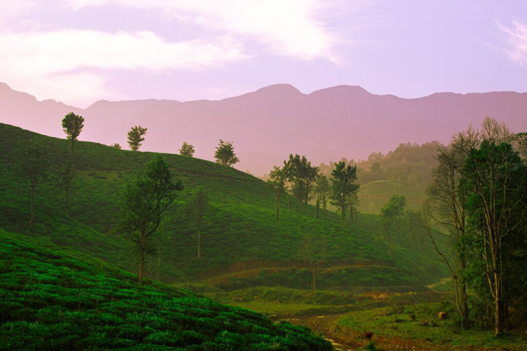 Kerala eco tourism packages